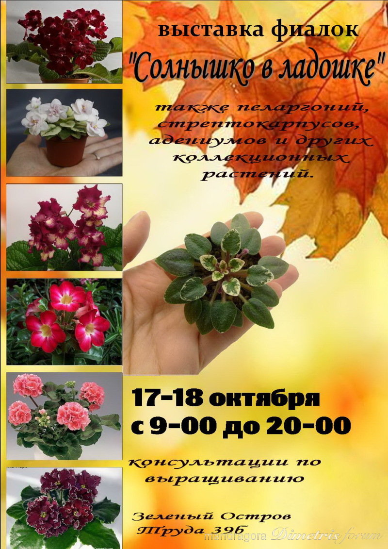 Microsoft Office Publisher.jpg