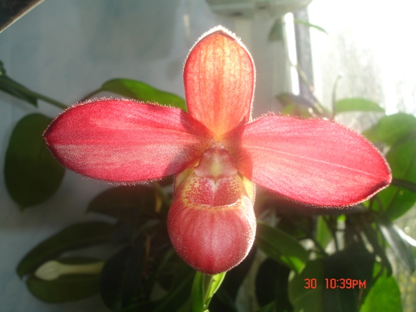  ноябрь 2009г.jpg