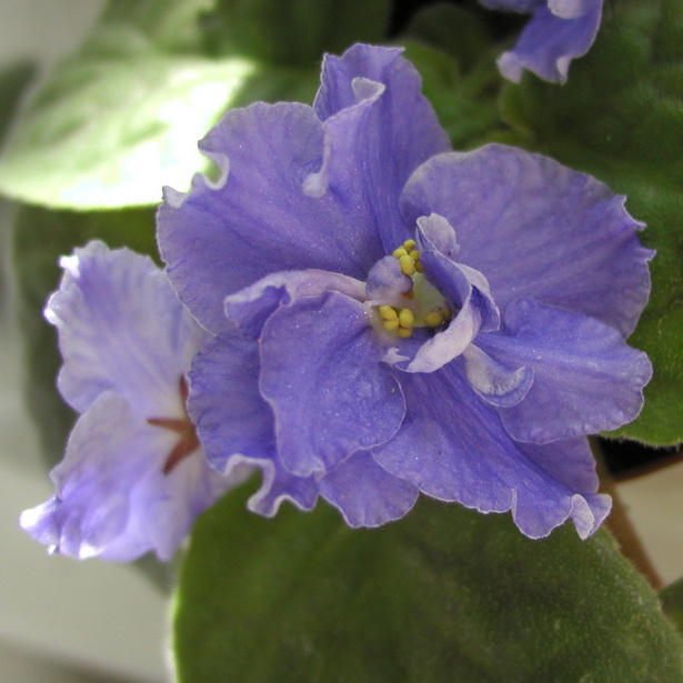 P1010001.jpg