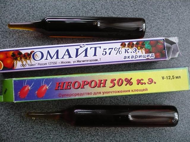 P1020150.JPG