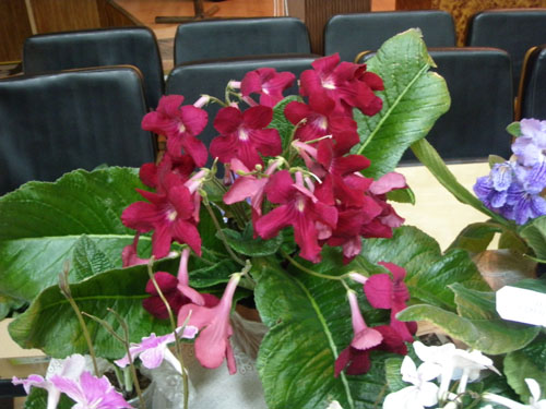 P5012180_8.jpg