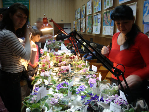 P5022312_5.jpg