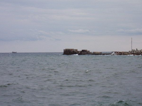 P8040117.jpg