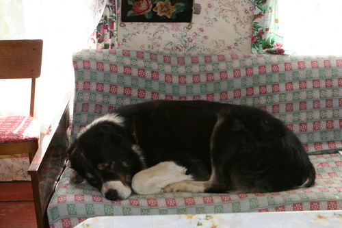 €§®Ўа ¦Ґ­ЁҐ 067.jpg