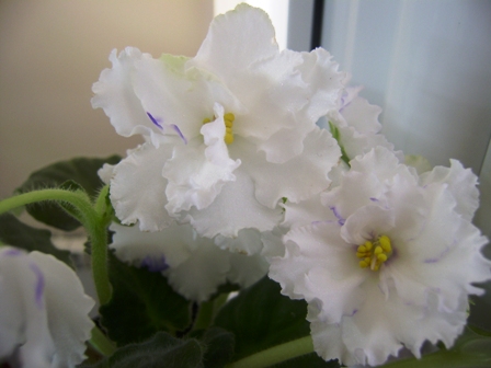 PB190247.JPG