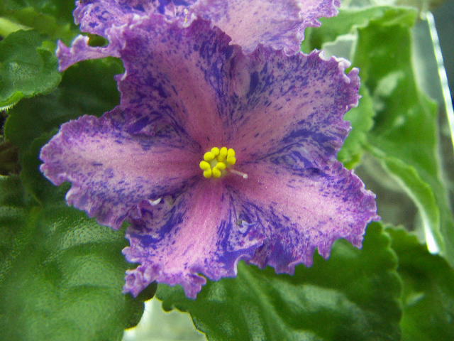 PICT0003.JPG