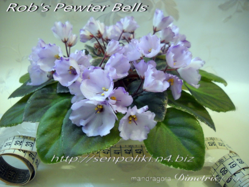 Rob’s Pewter Bells.jpg
