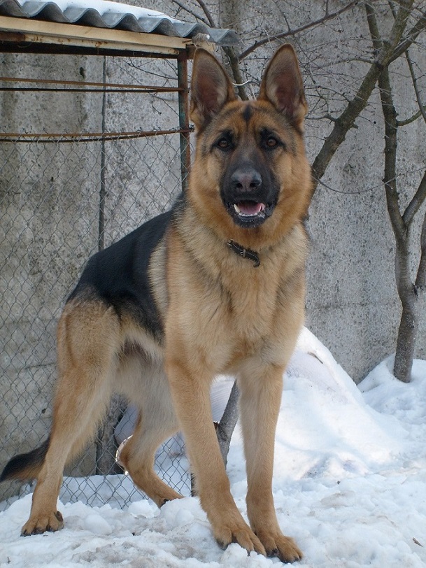 S6301518.JPG