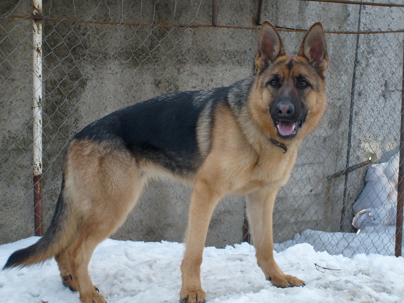 S6301521.JPG