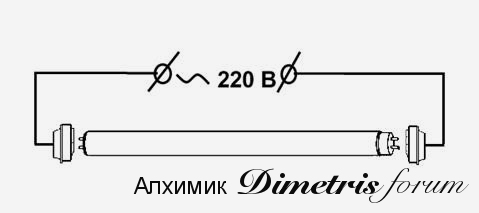 shema_tuba_sltl.jpg