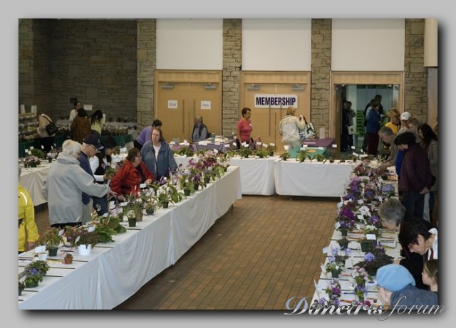 showroom3.jpg