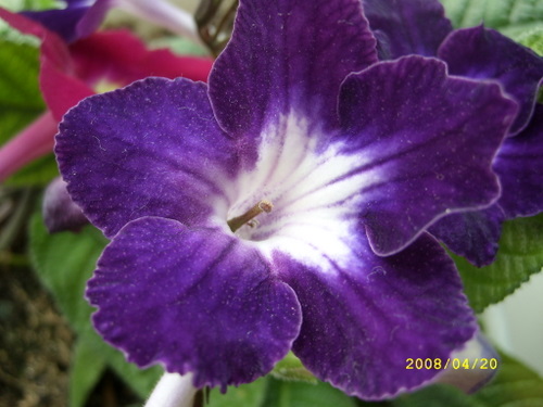 SL270047.JPG