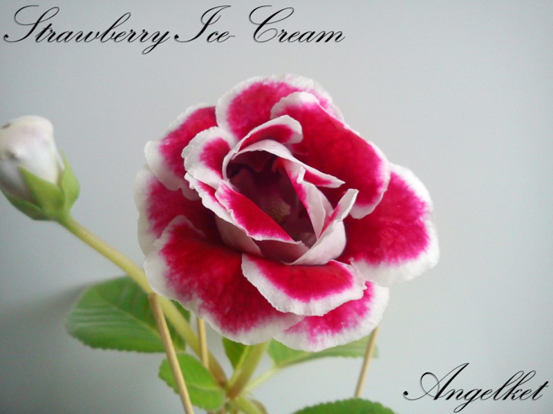 Strаwberry Ice-Cream.jpg