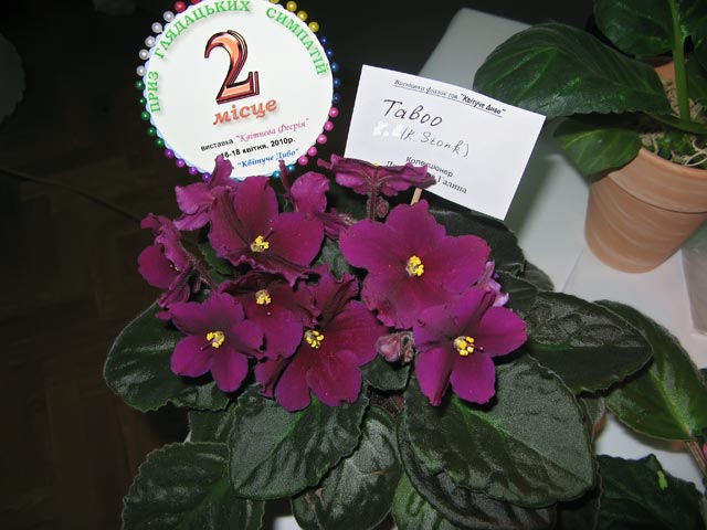 Vyst-8_2-022.jpg