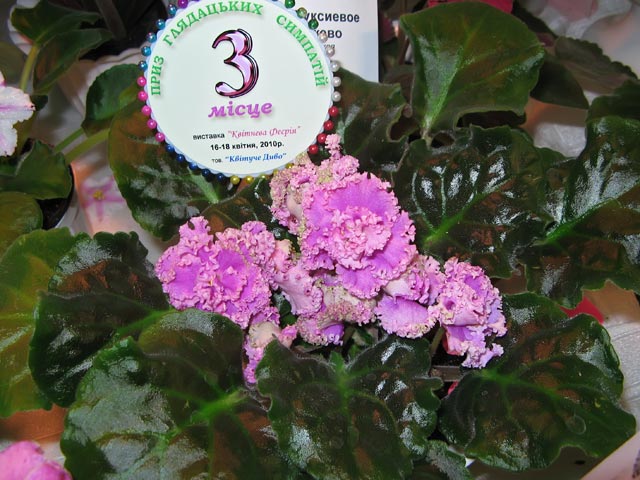 Vyst-8_2-028.jpg