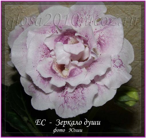 Zercalo_dyhi_1_2.jpg