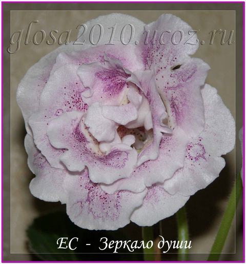 Zercalo_dyhi_3_2.jpg