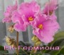 dimetris.com.ua:альбомы:mandragora:ек-гермиона.jpg