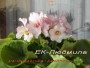 dimetris.com.ua:альбомы:mandragora:ек-людмила.jpg