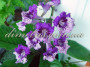 dimetris.com.ua:загрузки:alchimik:selectioners:anfisa.jpg