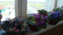 dimetris.com.ua:загрузки:people:dsc04625.jpg