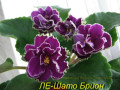 dimetris.ru:цветы:е.лебецкая:ле-шато_брион_2.jpg