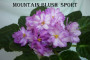 dimetris.ru:цветы:sorano:mountain_blush_спорт.jpg