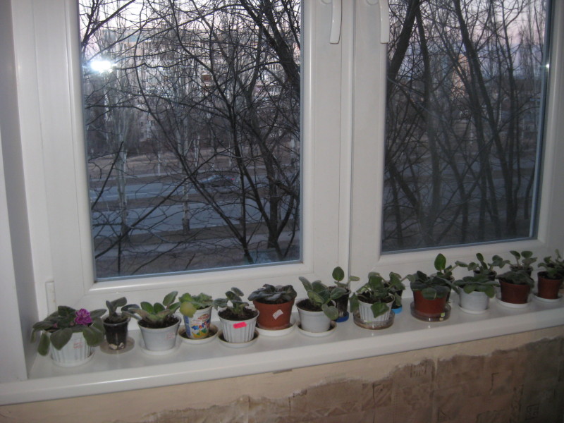 070315.jpg