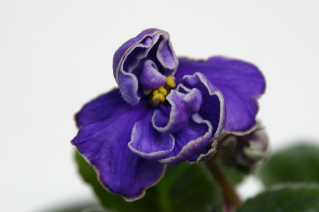 09 019_измен.размер.jpg