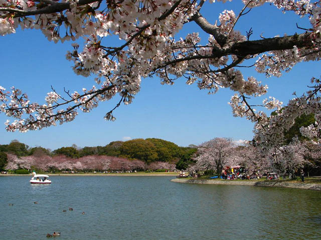101.jpg
