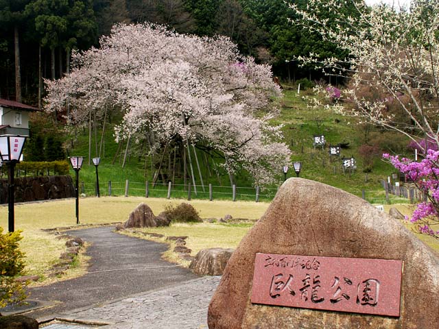 104.jpg