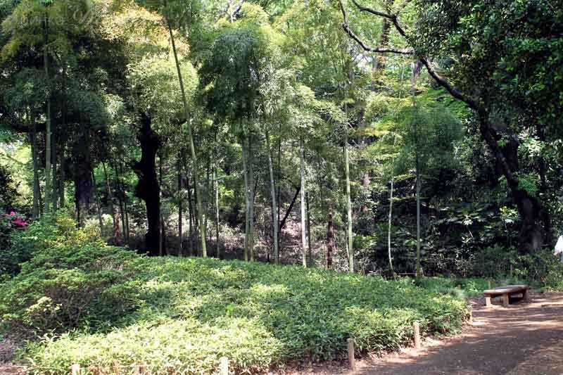 157.jpg