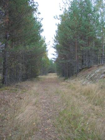 2005 (дубль 2) 046.jpg