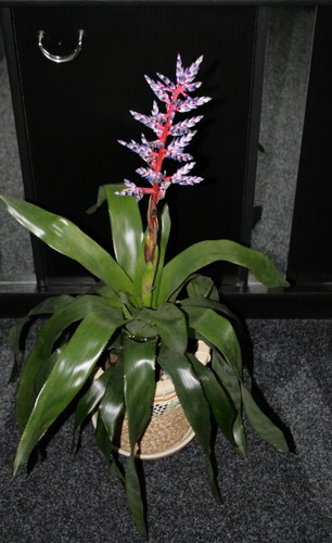 20080420_0121-01.jpg
