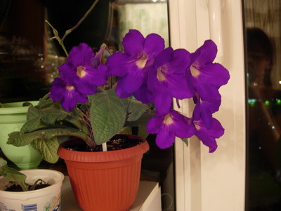2010 марна.jpg