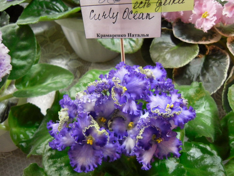 2013 -002-26 017.jpg