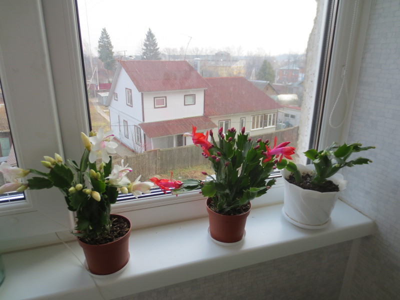 2014-10-31 09-25-11.JPG