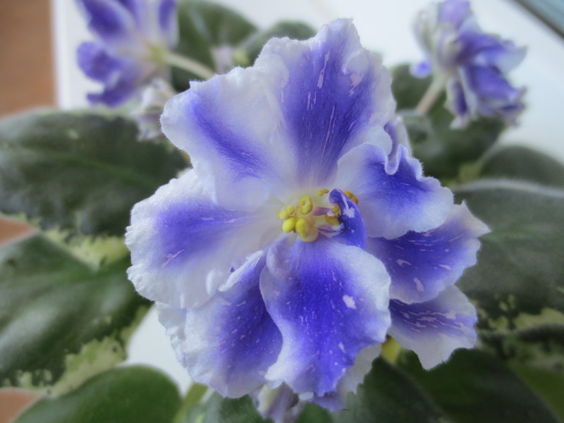 2014-11-18 10-20-15.JPG