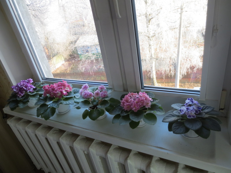 2014-11-20 09-31-35.JPG