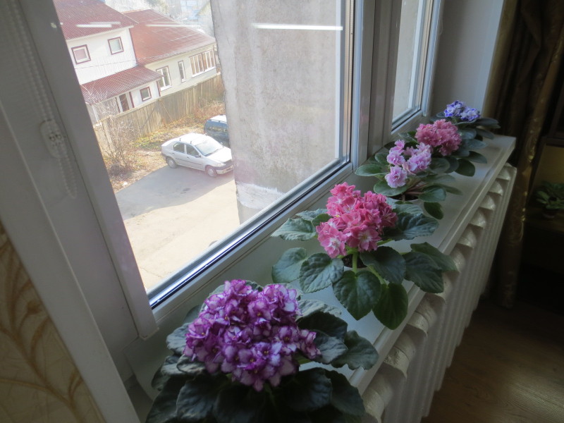 2014-11-20 09-31-59.JPG