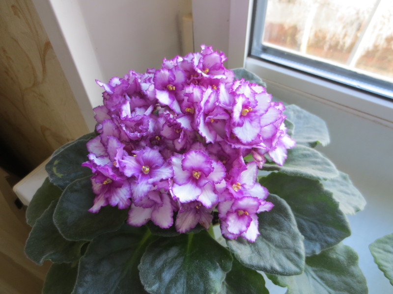 2014-11-20 09-33-48.JPG