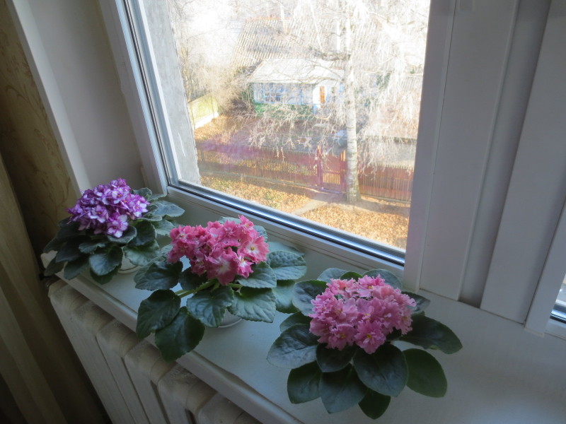 2014-11-20 09-35-54.JPG