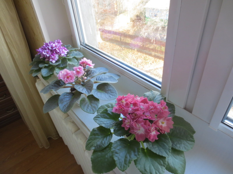 2014-11-20 09-38-58.JPG