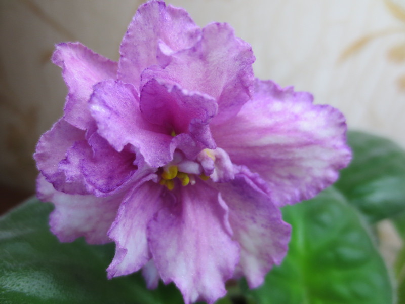 2014-11-20 10-38-20.JPG