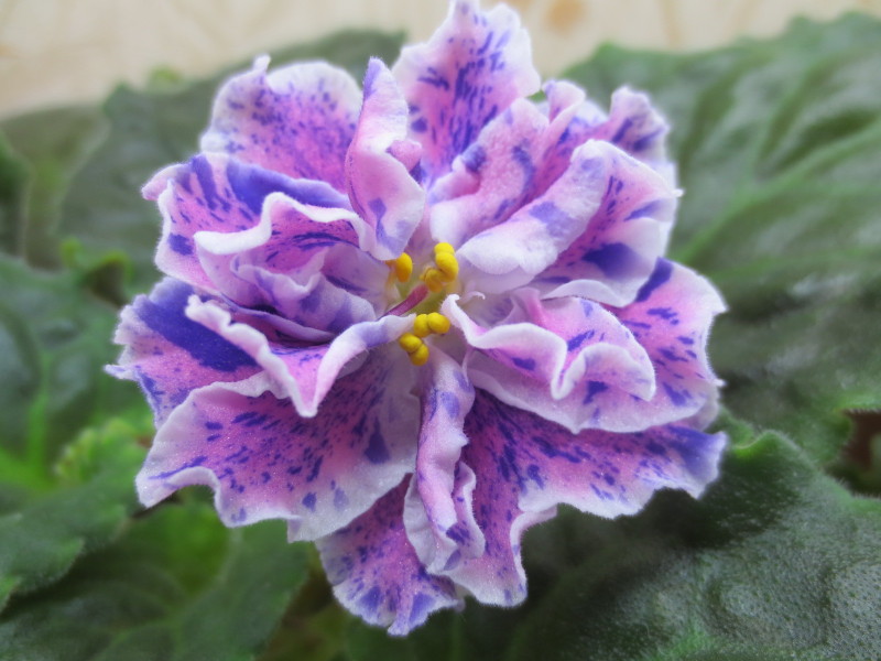 2014-11-22 13-12-21.JPG