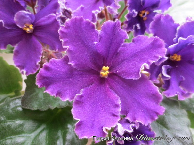 2015-05-23 08-48-48.JPG