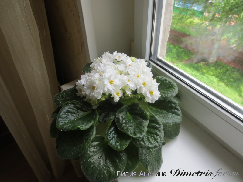 2015-05-31 10-45-02.JPG