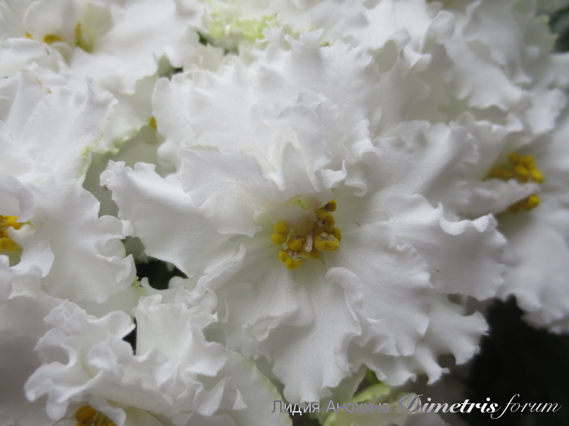 2015-05-31 10-50-45.JPG