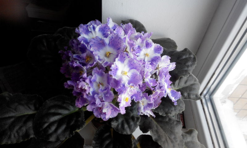 20160206122549.jpg