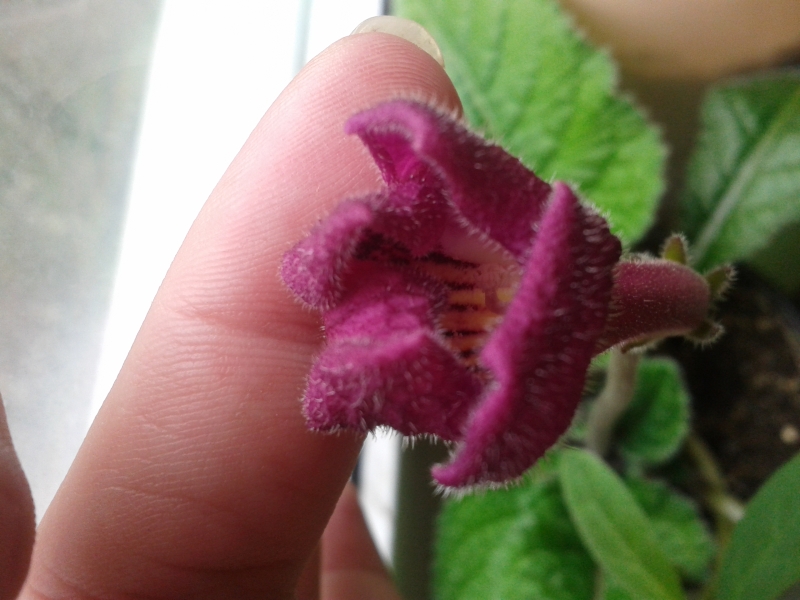 20160406_113629.jpg